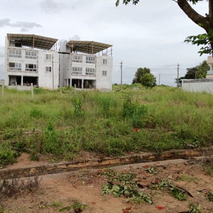 jr garden site